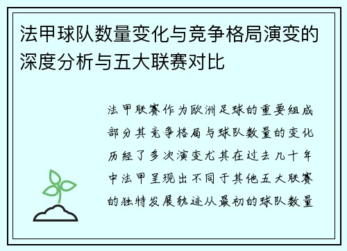 法甲球队数量变化与竞争格局演变的深度分析与五大联赛对比