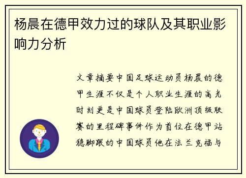 杨晨在德甲效力过的球队及其职业影响力分析